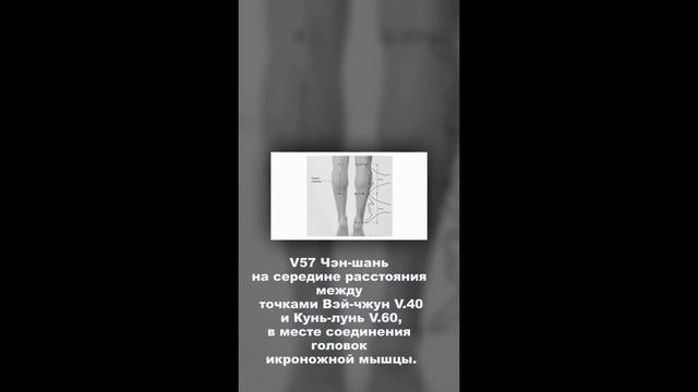 12 акупунктурных точек для седалищного нерва смотреть онлайн