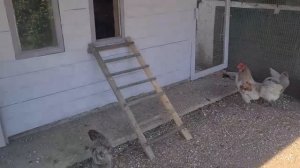 ЕйскМой сын аутист, и он самый дорогой человек на Земле. Маша плачет. Персик. У Юры обострение.