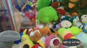 ОХ ЭТИ КРУГЛЯШИ (называю их горошком)😉НЕ ХОТЯТ ВЫХОДИТЬ ИЗ АППАРАТОВ. КОГО ПОЙМАЮ НА ЭТОТ РАЗ?🤞