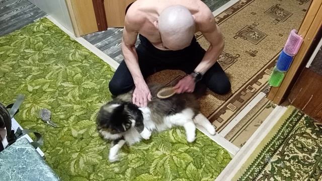 Моцион.mp4 смотреть онлайн