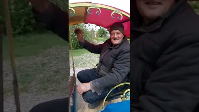 Карета для золушки смотреть онлайн