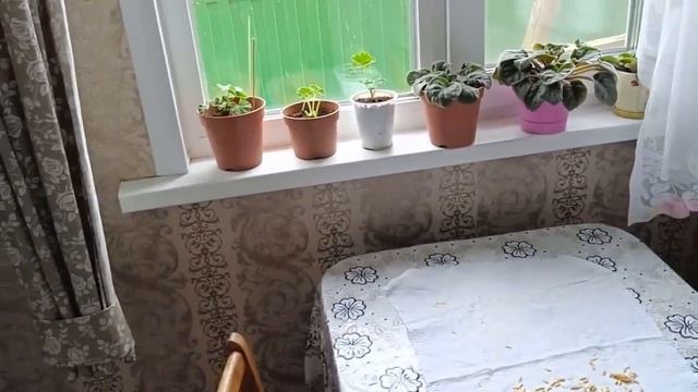 Про жизнь ) Как заказывали// смотреть онлайн