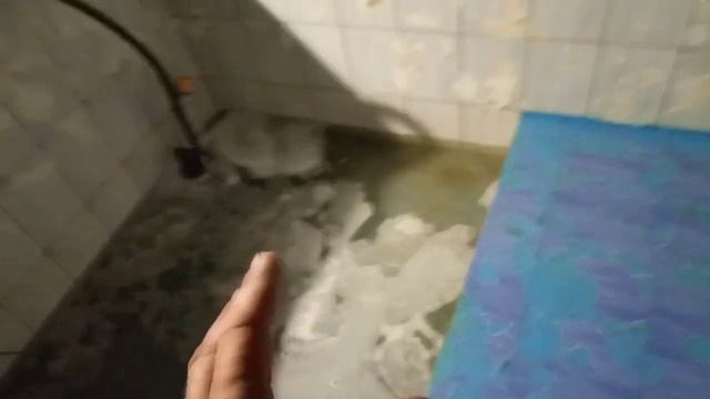 Бассейн для дома своими руками (сливаем, моем, чистим, набираем ) смотреть онлайн