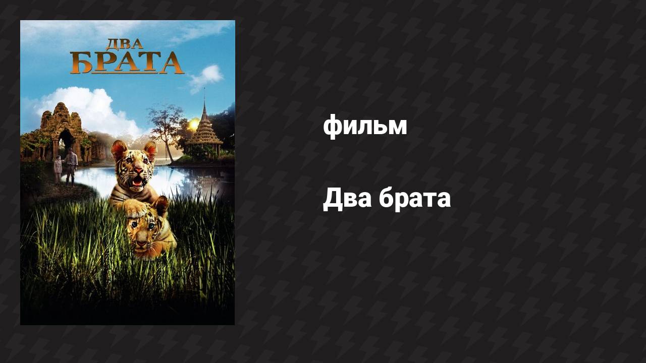 Два брата (фильм, 2004) смотреть онлайн