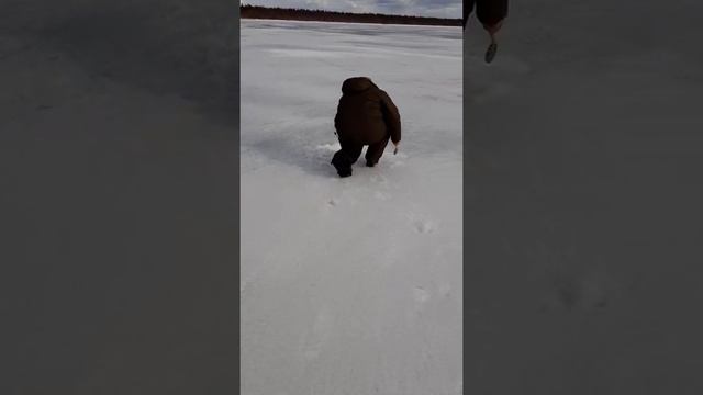 щука на жерлицу. Ладога! смотреть онлайн