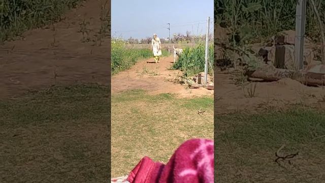 22 February 2024 смотреть онлайн