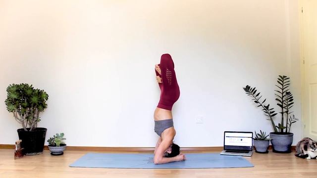 5 Minute HEADSTAND HOLD CHALLENGE смотреть онлайн