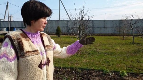 Деньги под ногами. Бесплатное удобрение. Где мы берём тонны мульчи?