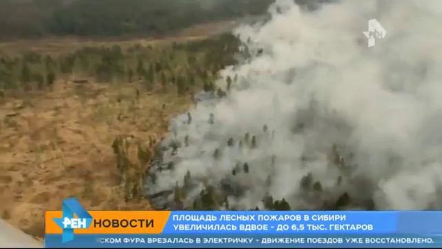 Площадь лесных пожаров в Сибири увеличилась вдвое, 19 июня 2015 смотреть онлайн