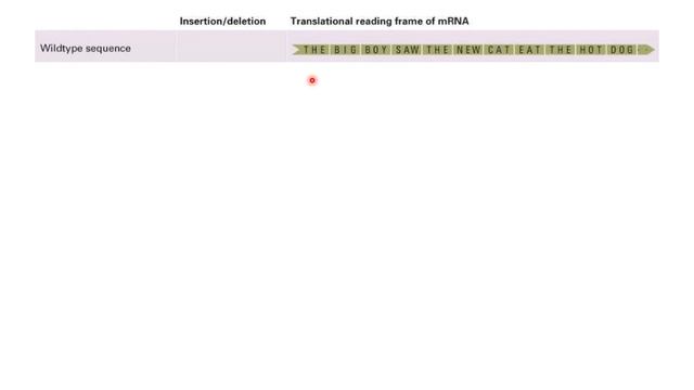Genetics and Evolution 10 Translation смотреть онлайн