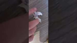 Обзор на бумажных собак