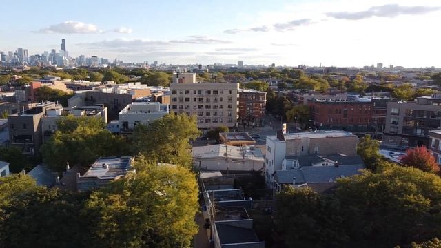 1142 W Wolfram смотреть онлайн