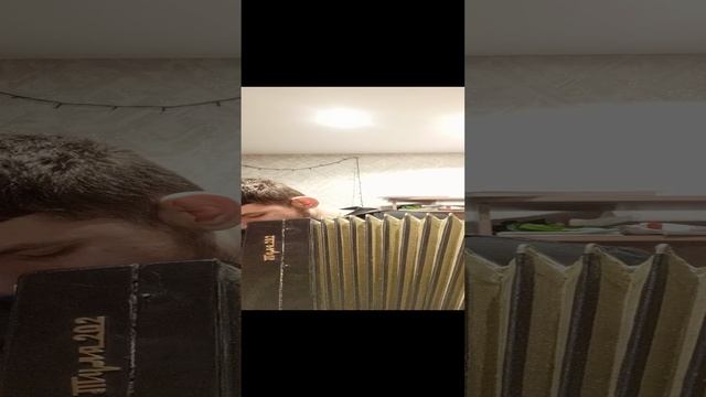 Дуэт Дон Жуана и Церлины на баяне