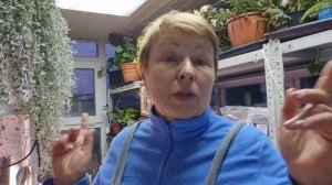 Растут как на дрожжах. Какой грунт и удобрения использовала для зимнего огорода