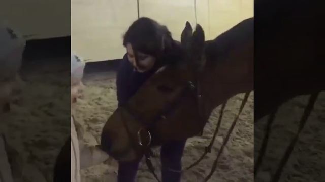 Бреч! Катаемся на лошадях. смотреть онлайн