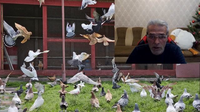 Прямой эфир- информация смотреть онлайн