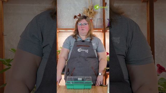 Какие цветы сеять в январе? смотреть онлайн