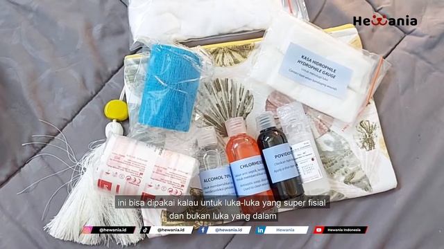 CARA MEMBUAT KOTAK P3K UNTUK HEWAN PELIHARAAN - #AskTheVet drh. Talita Milani dari Hewania смотреть онлайн