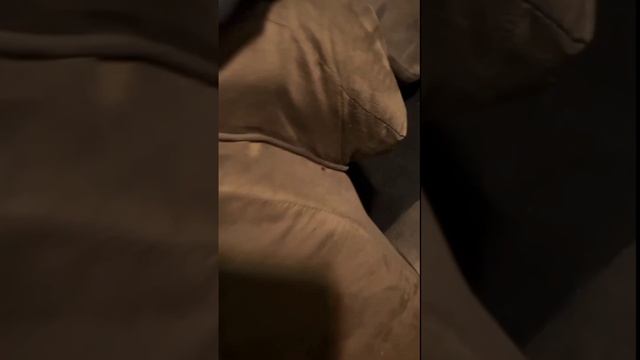 🆘Дезинфекция Клопов и Тараканов