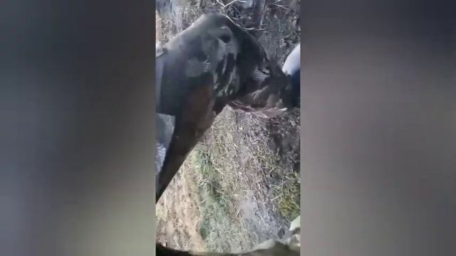 Все наши грузовики в роботе смотреть онлайн