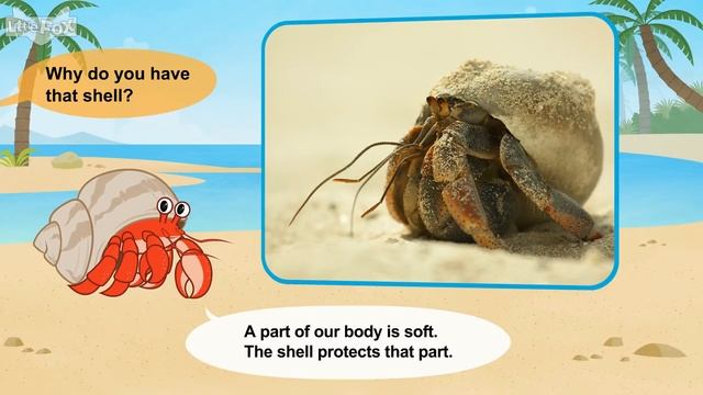 Meet the Animals 34_ Land Hermit Crab _ Level 2 _ By Little Fox смотреть онлайн