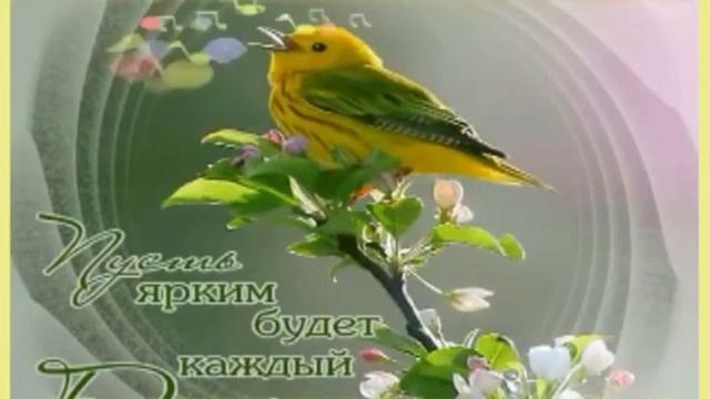 Я желаю счастья вам И Ведерников смотреть онлайн