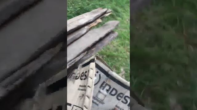 прогулка по лесу видео от подписчика смотреть онлайн