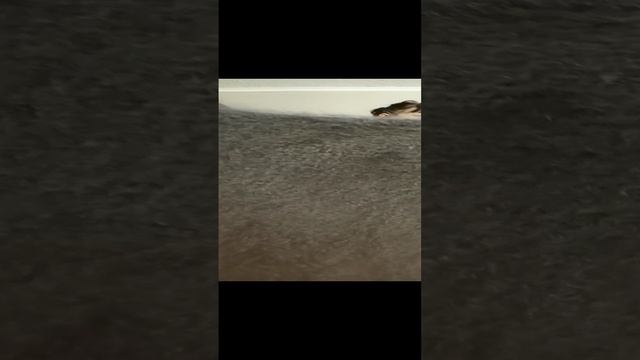 1000110421.mp4пуховые изделия у Ольги.т.89020931602. смотреть онлайн