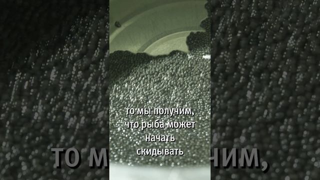 Получение Черной икры s4 смотреть онлайн