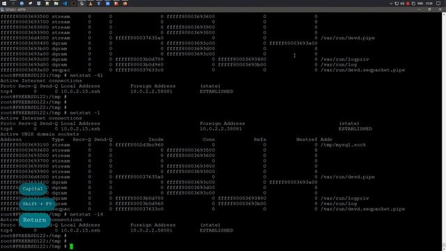 netstat | статус сети и статистика FreeBSD 12.2 смотреть онлайн