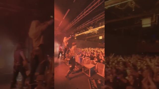 All hands on deck!⚓⚜ "Leave her Johnny" - new album FELSENFEST #dartagnan #folkrock #folk #shanty смотреть онлайн