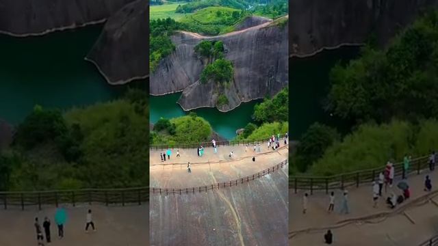 beautiful snake video смотреть онлайн