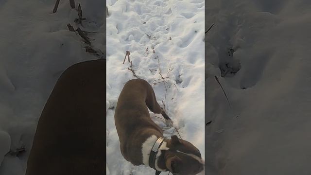 Рокки 9 месяцев смотреть онлайн