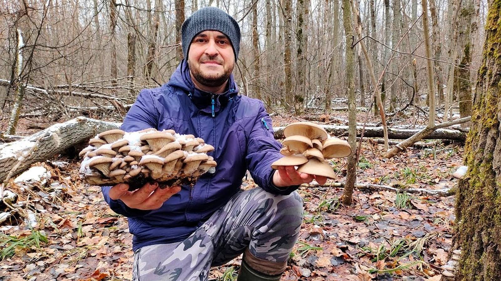 Фантастика!!!! ВЕСЬ ЛЕС В ГРИБАХ!!! Сказочный декабрь. Сбор грибов смотреть онлайн