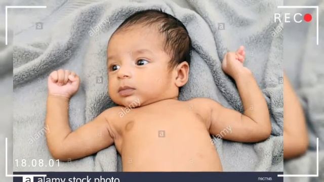 1 Haftalik Homila. Homiladorlikning Birinchi Haftasi.