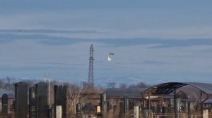 Голубь лентяй но фартовый -  Slo-mo Pigeon lazy but lucky - Slo-mo