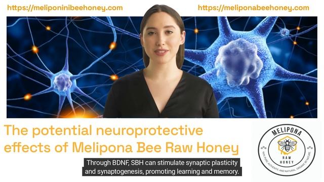 THE POTENTIAL NEUROPROTECTIVE EFFECTS OF MELIPONA BEE RAW HONEY смотреть онлайн