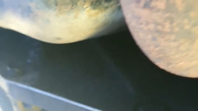 All 4 new O2 sensor replacements on a Jeep Wrangler TJ 2001 4.0l i6. by Ken Killeen смотреть онлайн