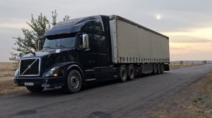 Моя красавица!