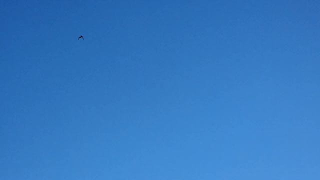 Маточник трудится круглый год смотреть онлайн