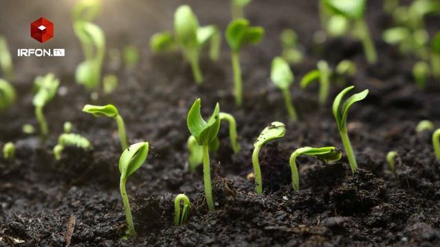 Fantom og'rig'i | 1-qism | Marziya Saydam | Ovozli kitob смотреть онлайн