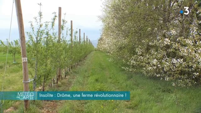 Émission du mercredi 24 avril 2024 - Météo à la carte смотреть онлайн