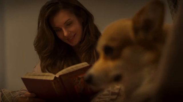 LOVE STORY|Уютный вечер смотреть онлайн