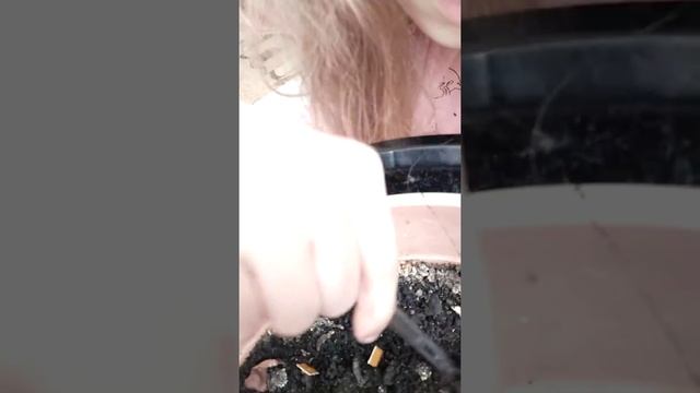 #вырастисЛентой.😂 сажу семена! смотреть онлайн