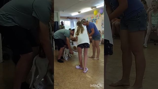 Детский лагерь. Праздник леденцов))#первоуральск #канистерапия смотреть онлайн