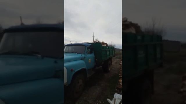 Занимаемся благоустройством двора, собираемся строить баню смотреть онлайн