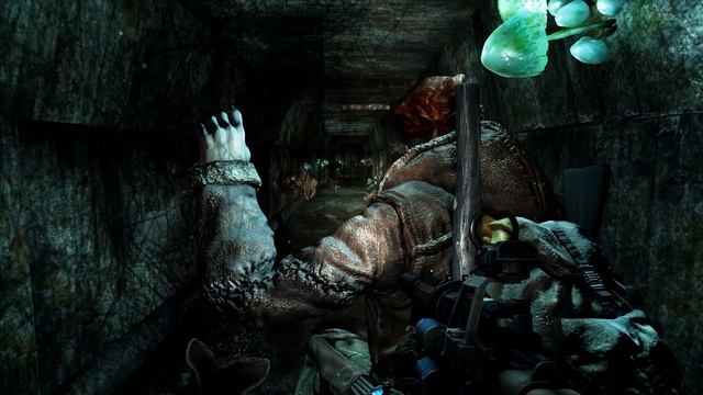 Time Travelers Unite