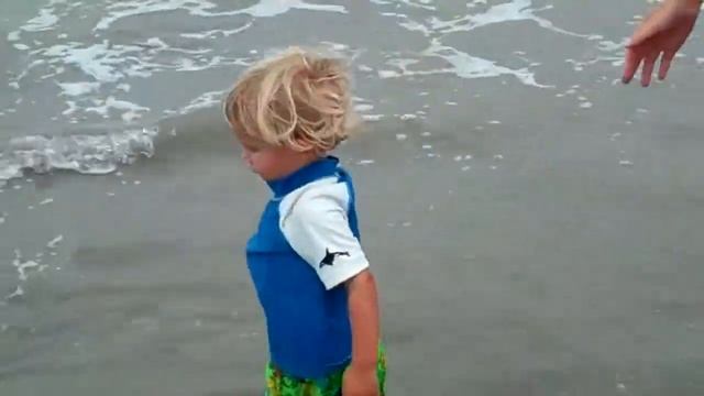 Matthew Parker Shore Bird смотреть онлайн