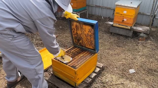 У ВАС СЛАБЫЕ СЕМЬИ ДЕЛАЙТЕ ТАК ! смотреть онлайн