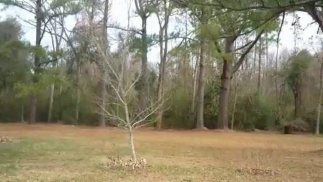 $54,900 3BR 1BA in MILLEN 30442. Call Beth Hall: (912) 531-0936 смотреть онлайн